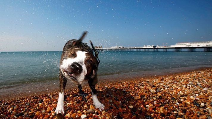 El tiempo - Predominio de cielo poco nuboso en la Península