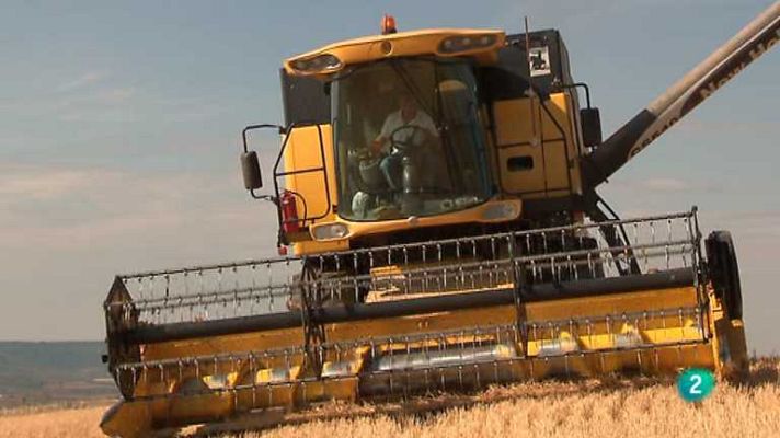 Agrosfera - Agrosfera - 26/07/14