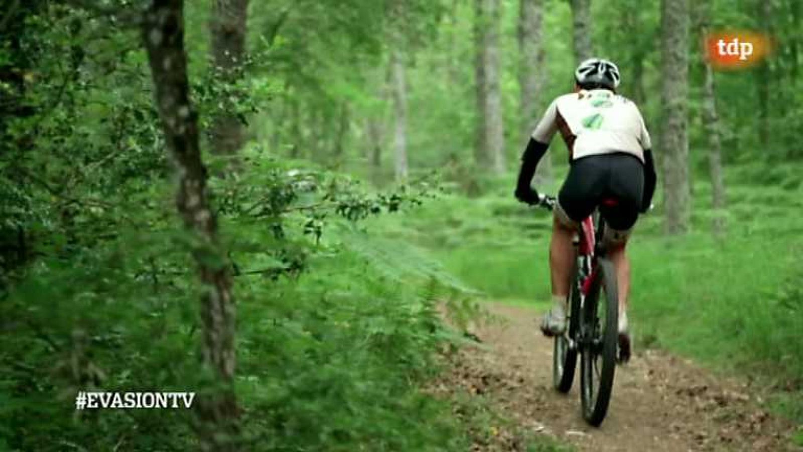 Evasión - T2 - Programa 12 - Ver ahora 