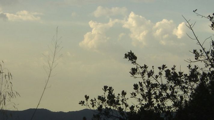 El tiempo - Llovizna en el litoral cantábrico occidental y poco nuboso en el resto