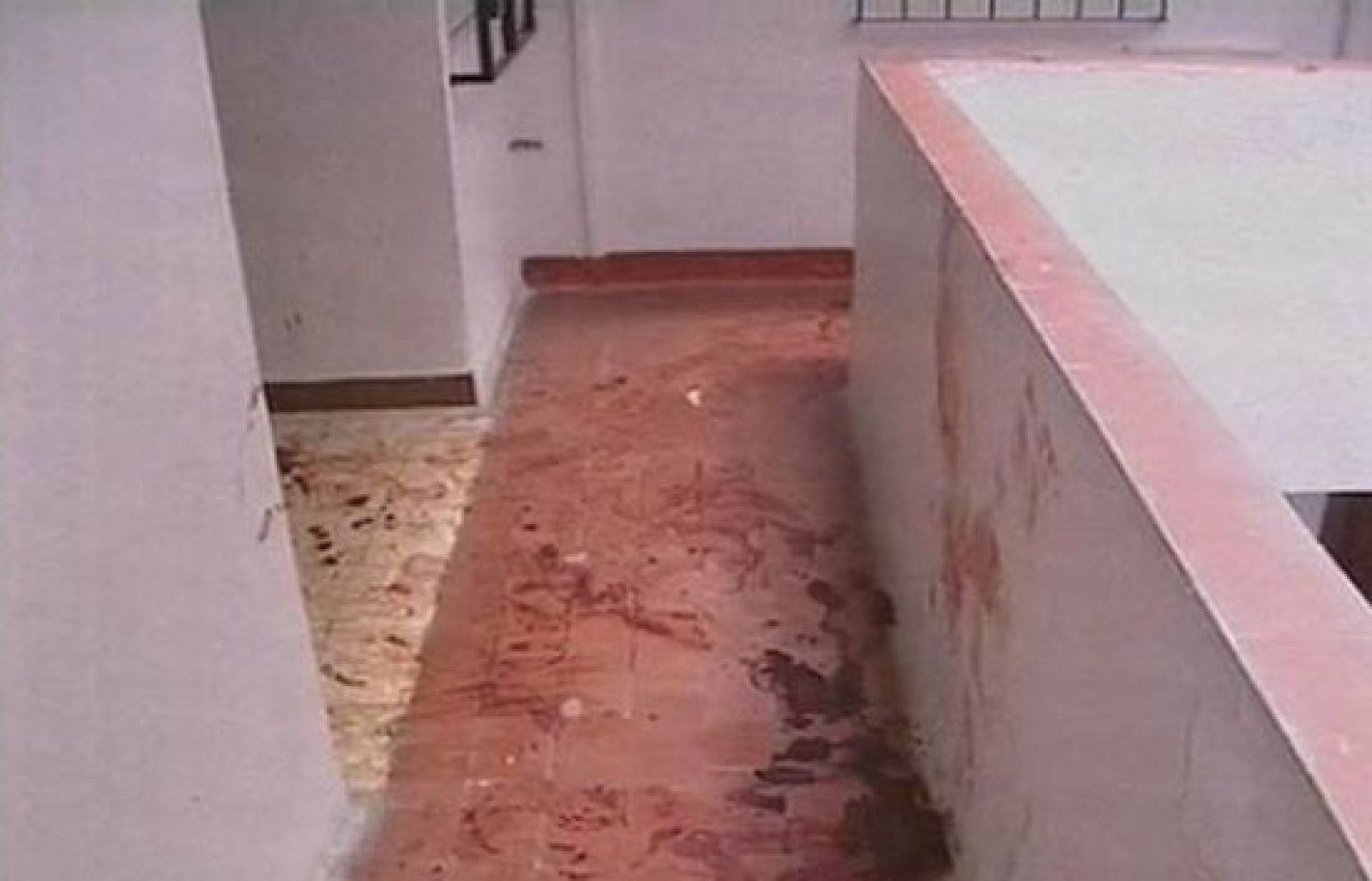 Un hombre es asesinado en Almería a manos de su mujer | Ver