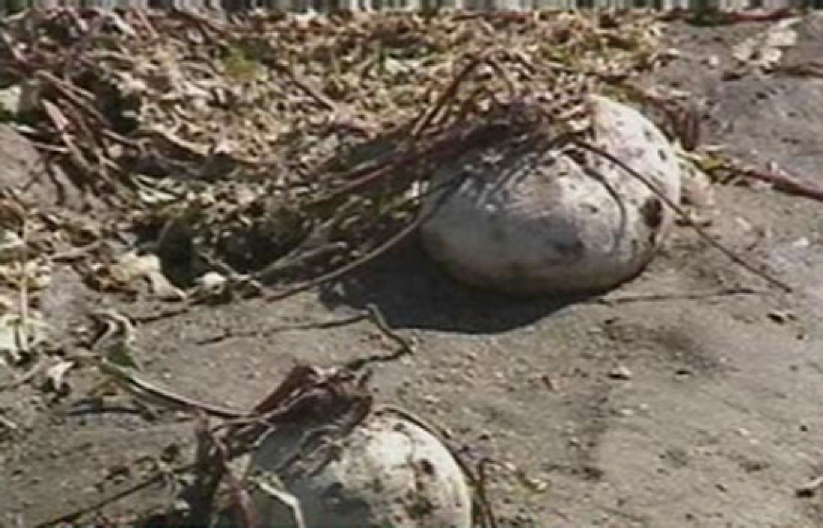 Fuerte granizada en Segovia | Ver