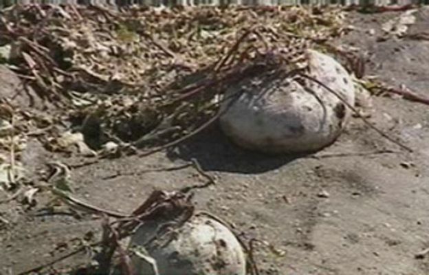  - Fuerte granizada en Segovia