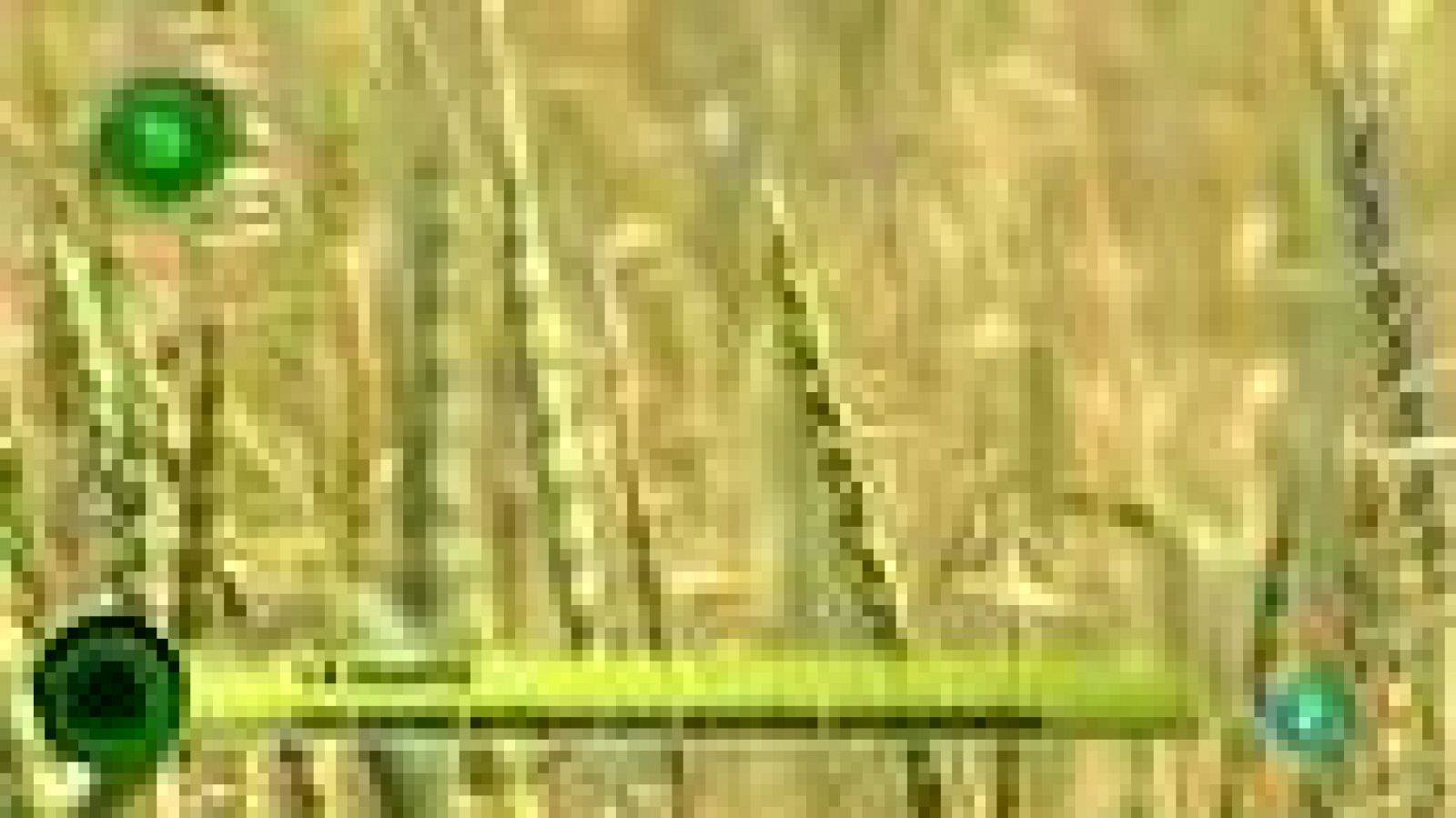 Agrosfera - Con Mucho Gusto - Espelta