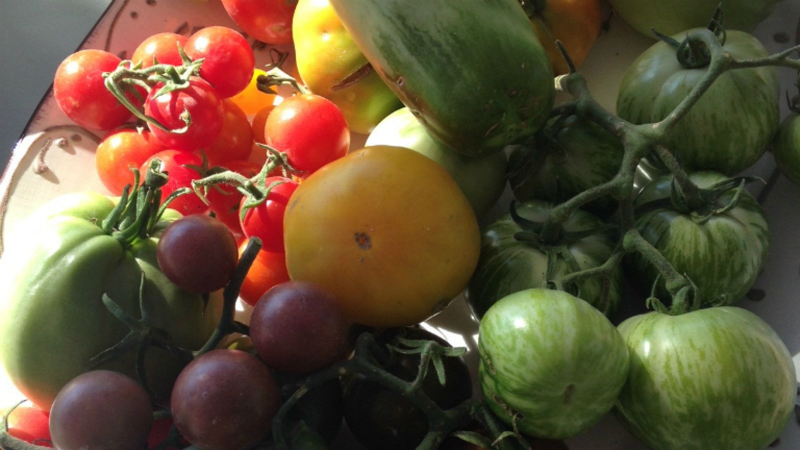 ¡Manda tomates la cosa!