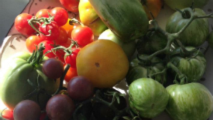 Aquí la Tierra - ¡Manda tomates la cosa!