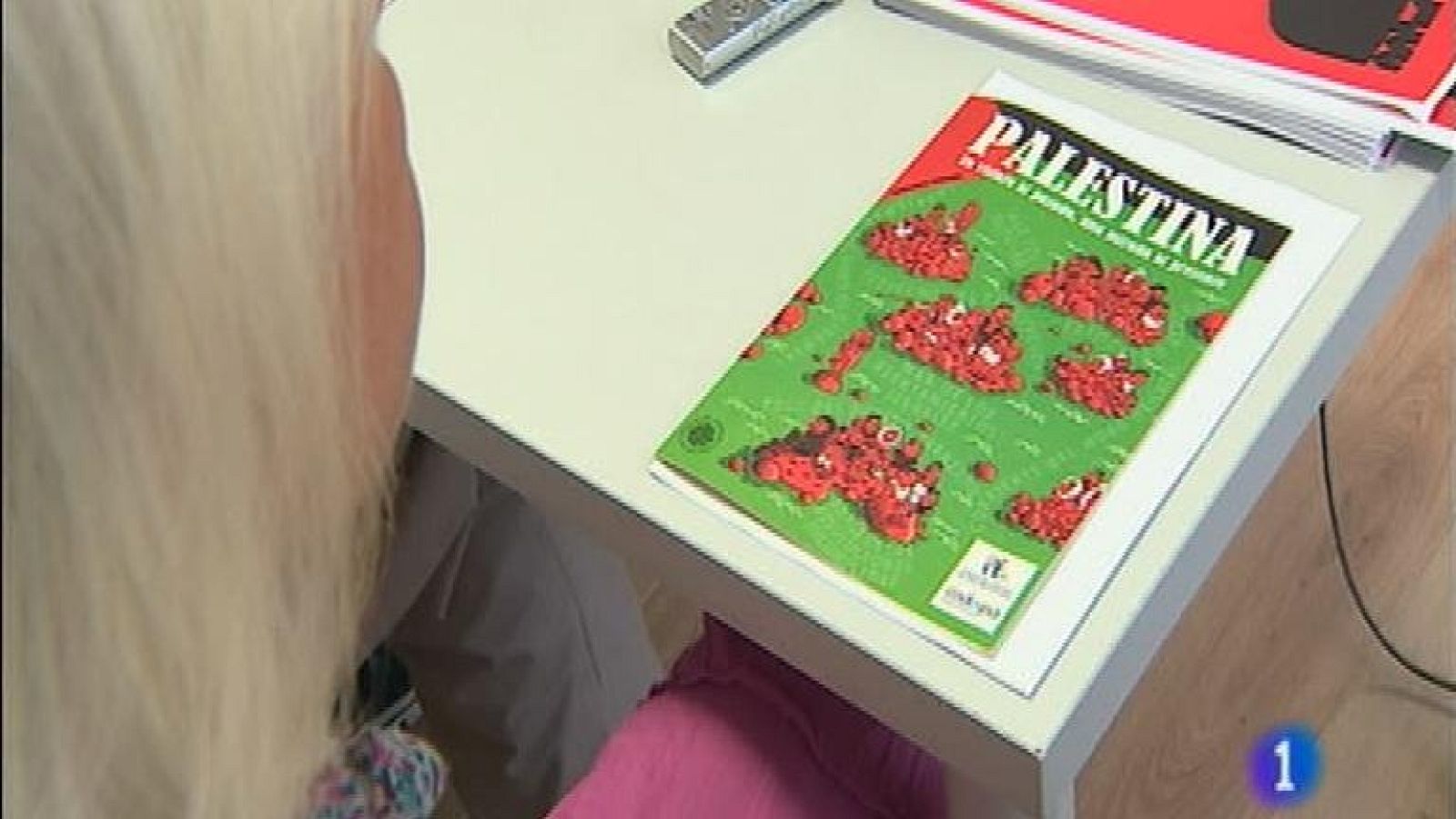 Panorama Regional - 29/07/14 | Ver