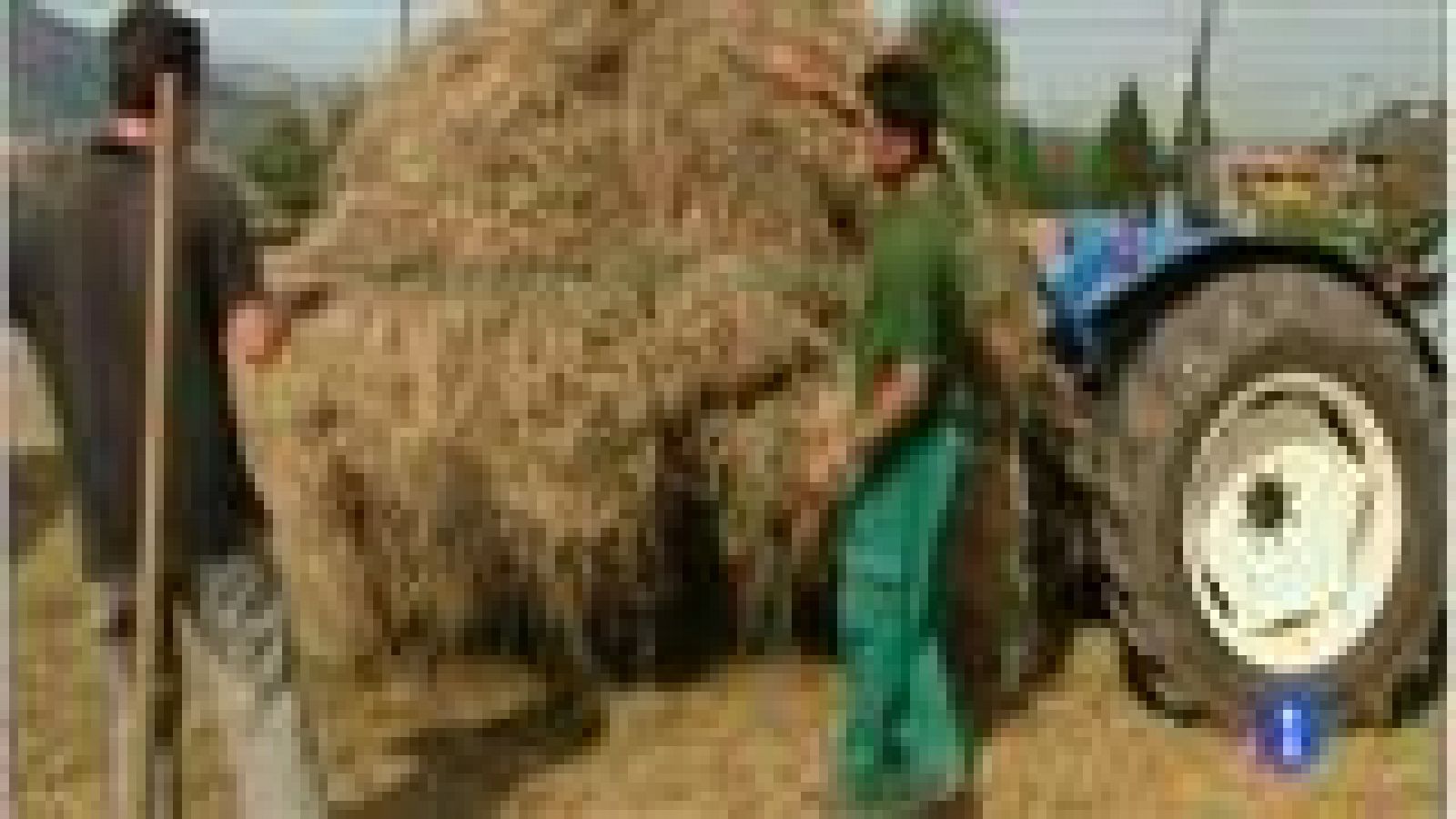 Panorama Regional 2 - 29/07/14 | Ver