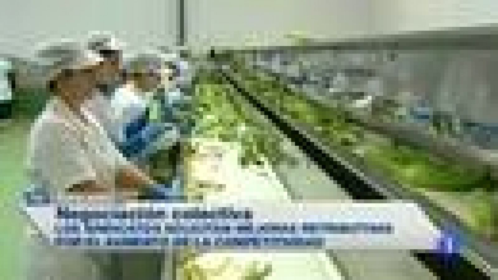 Noticias de Extremadura - 30/07/2014 | Ver