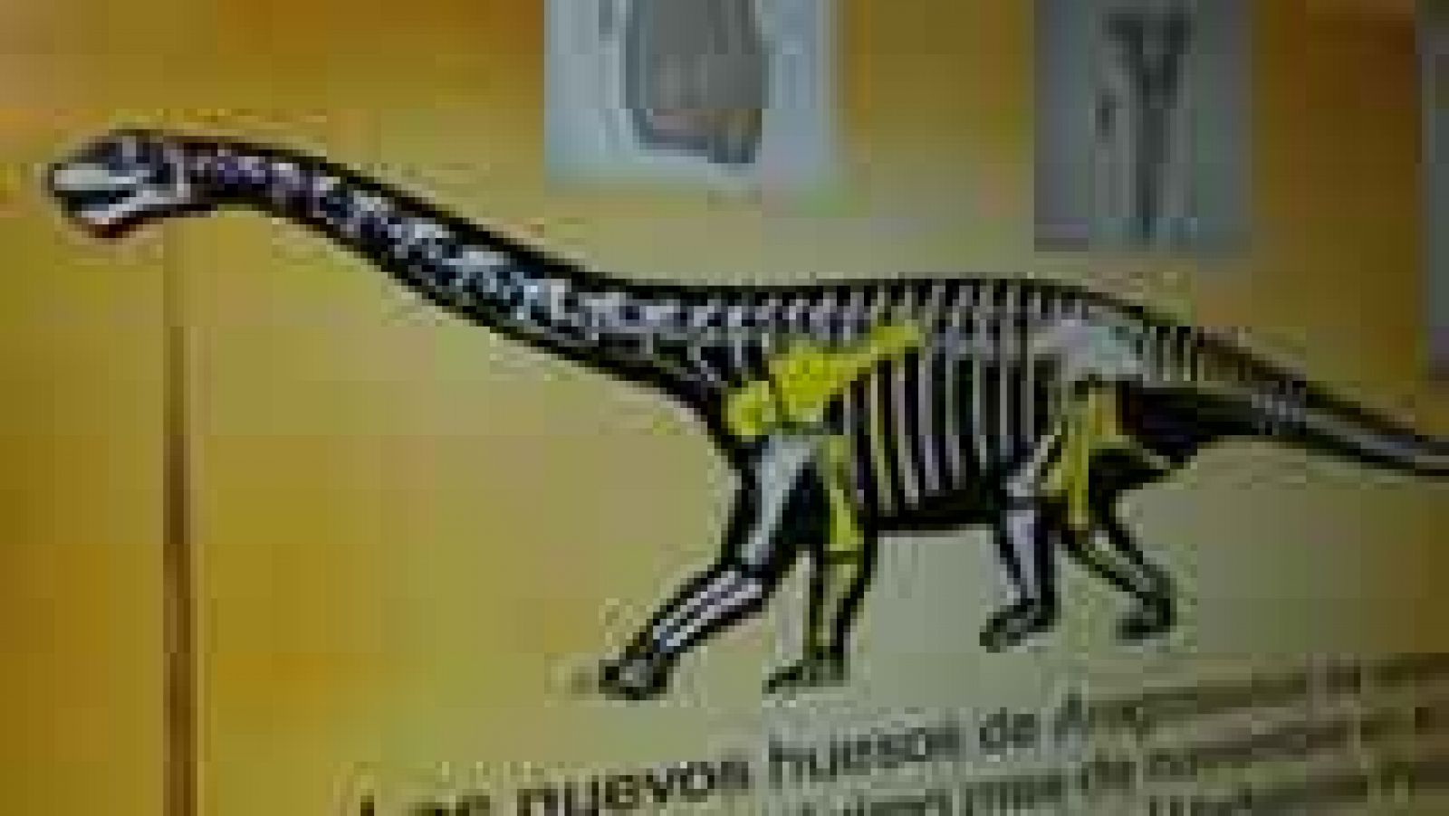 Telediario 1: El Aragosaurus es más viejo de lo que se creía | RTVE Play