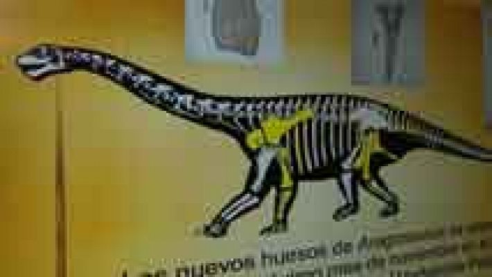 Telediario 1 - El Aragosaurus es más viejo de lo que se creía