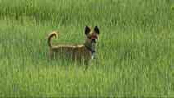 El tiempo - Suben las temperaturas en la Cordillera Ibérica y en el Alto Ebro