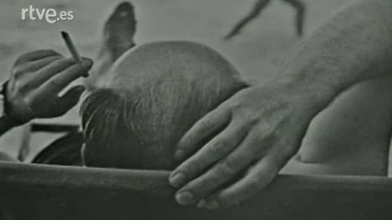 Suspiros de España - Noveno suspiro