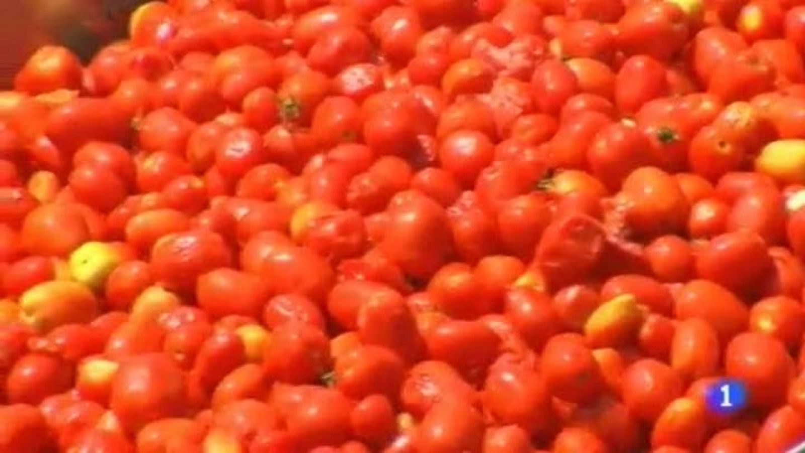 Noticias de Extremadura - 31/07/2014 | Ver