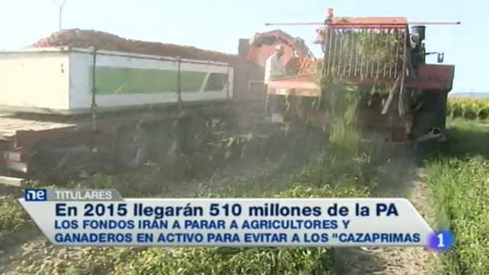 Noticias de Extremadura - 31/07/2014 | Ver