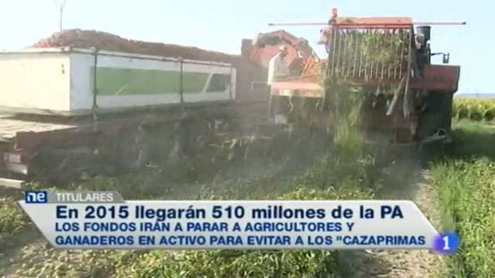 Noticias de Extremadura - 31/07/2014