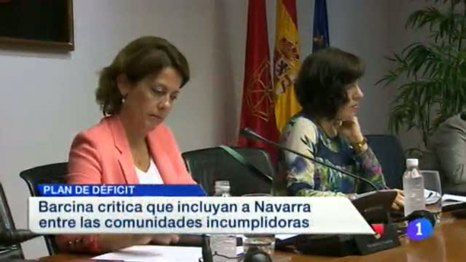 Telenavarra: Telenavarra 31/07/2014 | RTVE Play