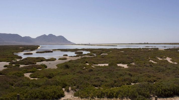 El tiempo - Chubascos y tormentas en el nordeste