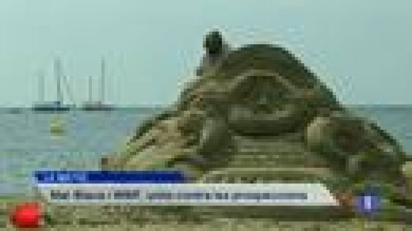 Informatiu Balear - 01/08/14 | Ver