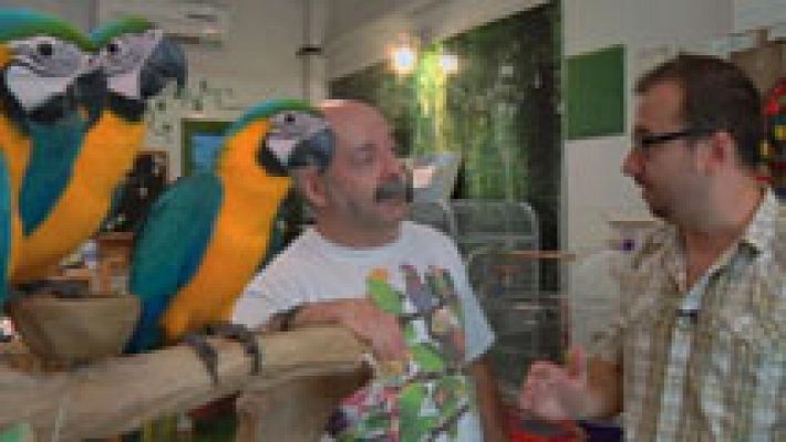 Aquí la Tierra - ¡Al loro! Una tienda donde vuelan libremente