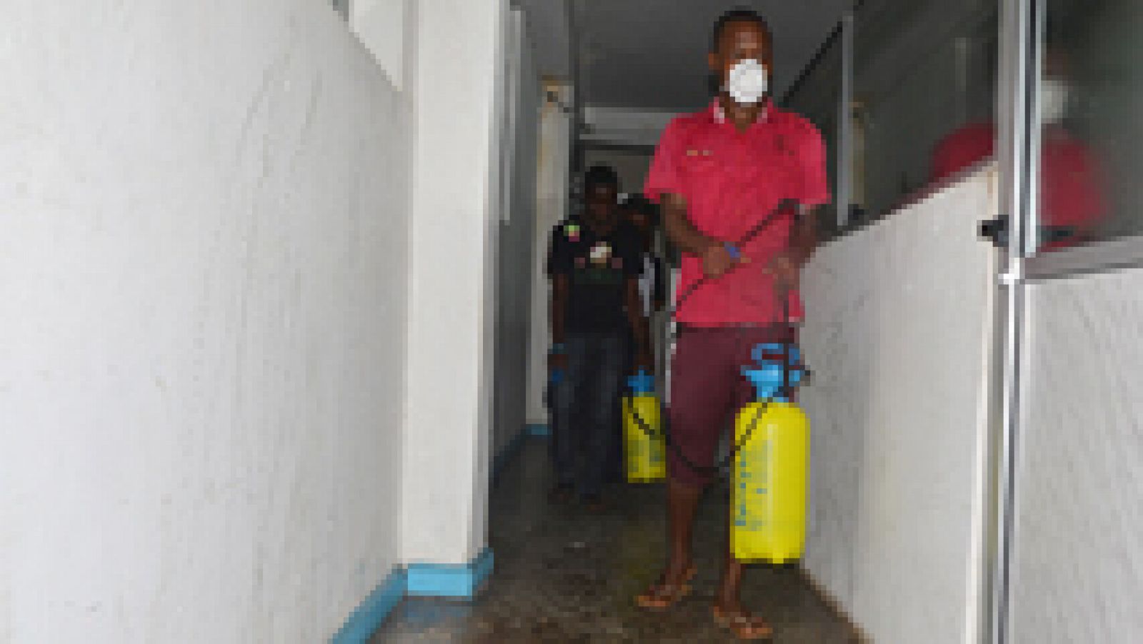 Telediario 1: La OMS advierte del riesgo de que se extienda el ébola | RTVE Play