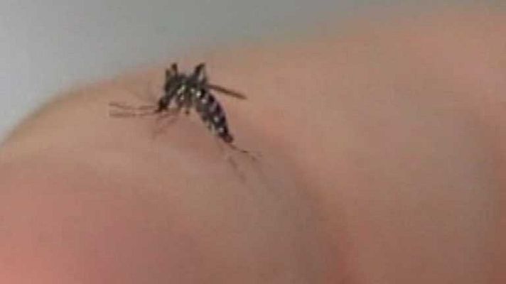 España en comunidad - España en Comunidad - 02/08/14