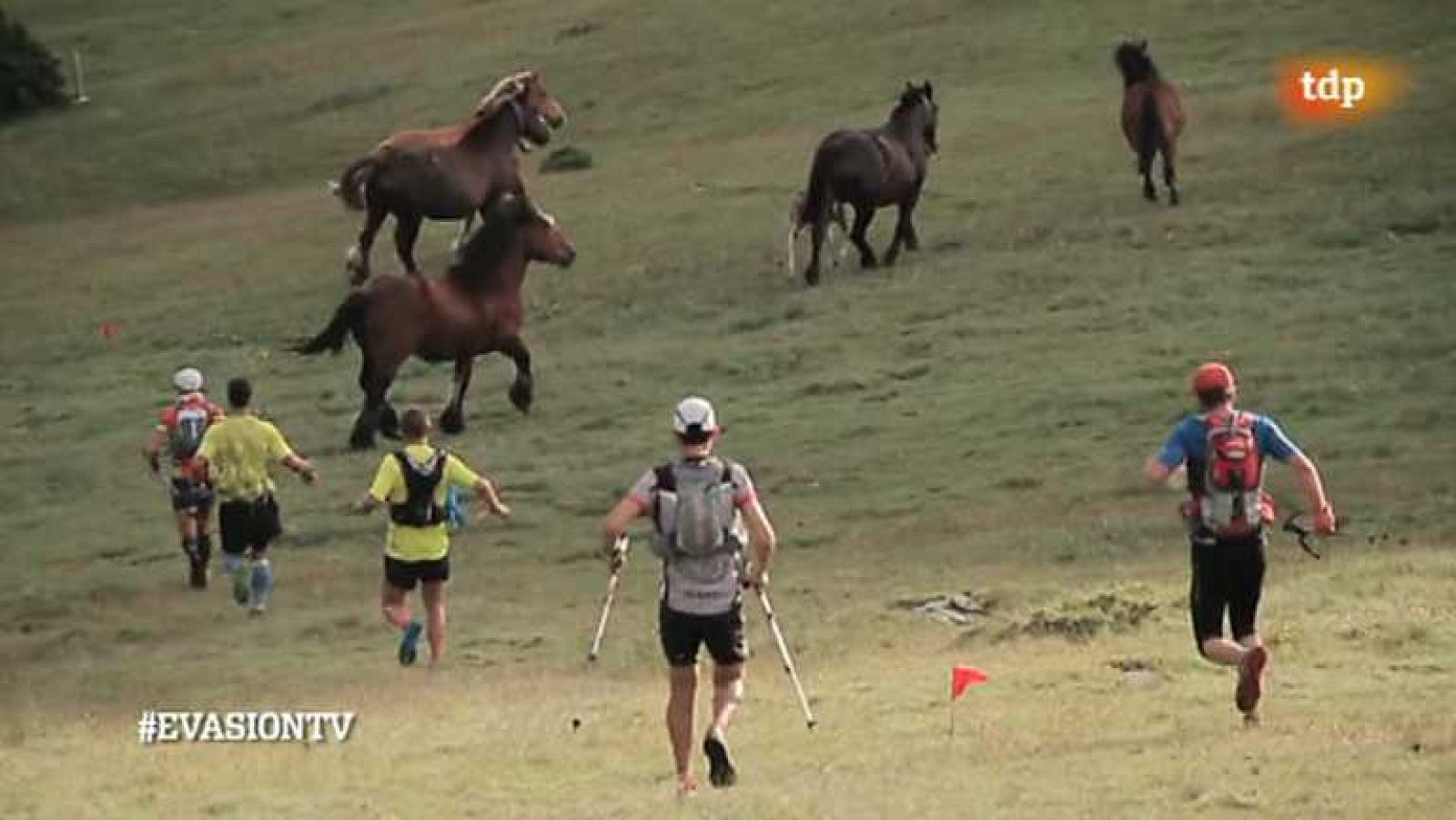 Evasión - T2 - Programa 13 - Ver ahora