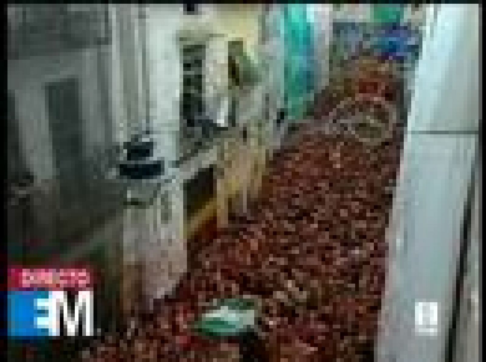 Esta mañana de verano - Directo desde la 'Tomatina' - Esta mañana de verano | Ver