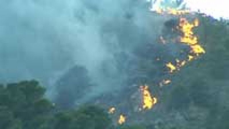 Extinguidos los dos incendios de Valde-verdeja en Toledo y Mijas en Málaga