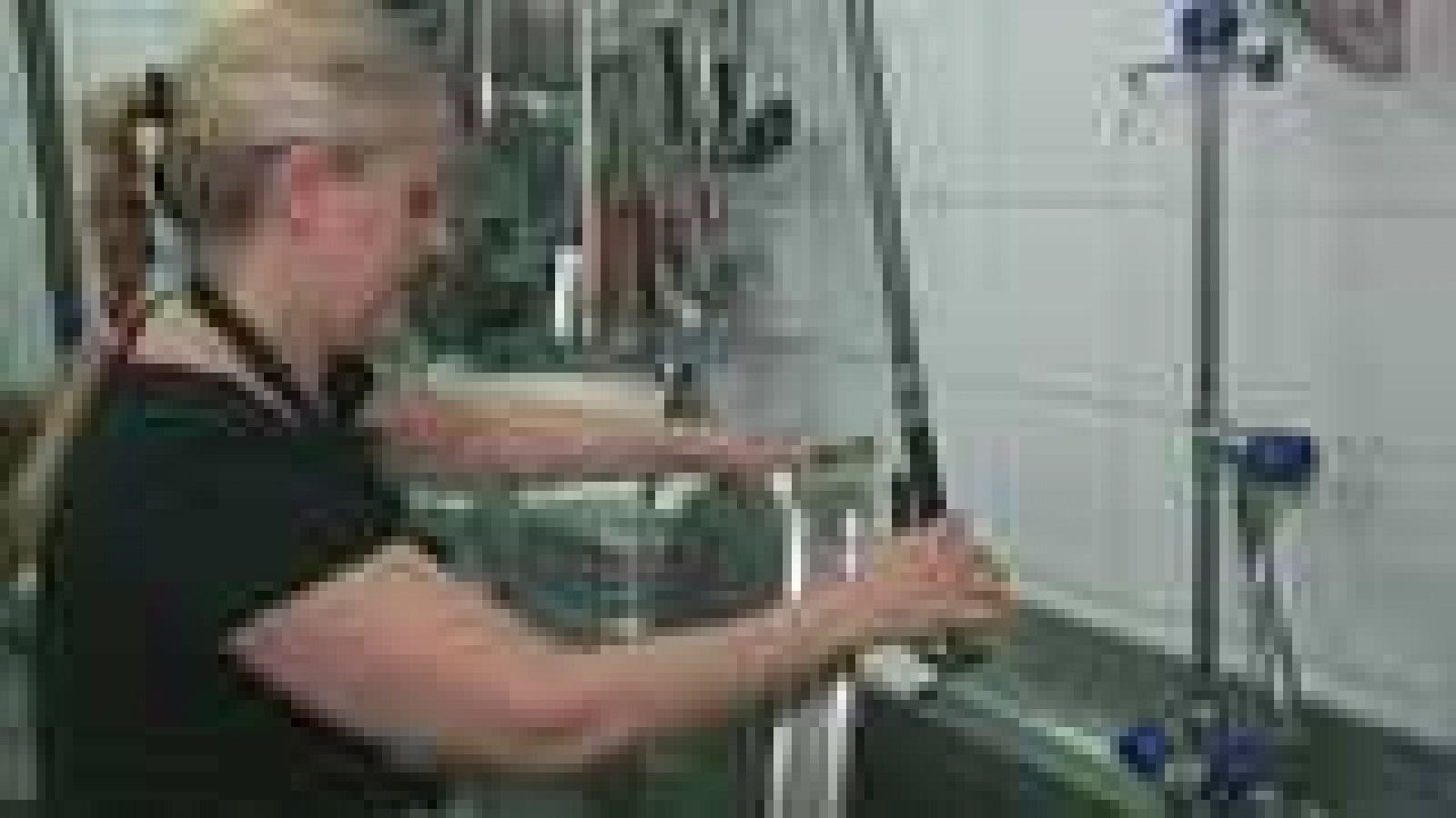 La Comunidad Valenciana en 2' - 04/08/14 - Ver ahora