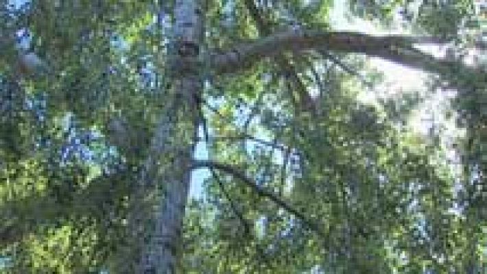 El tiempo - Posibilidad de chubascos localmente fuertes en el norte de Cataluña y Castellón