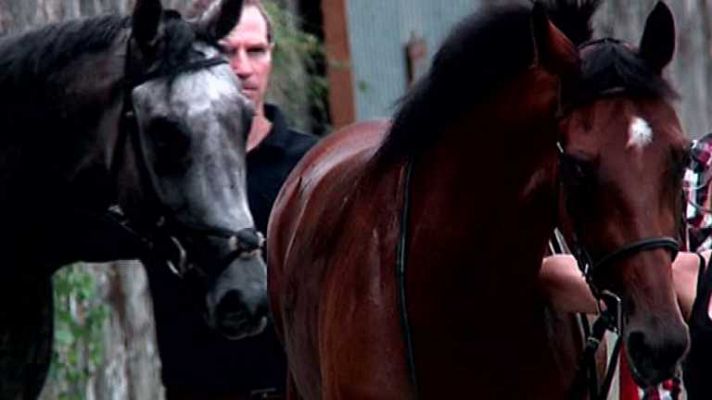 Turf - Turf - 04/08/14