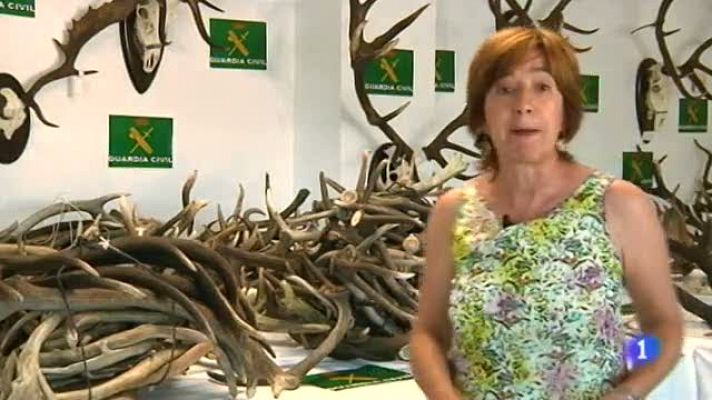 Noticias de Extremadura - Noticias de Extremadura 2 - 05/08/2014