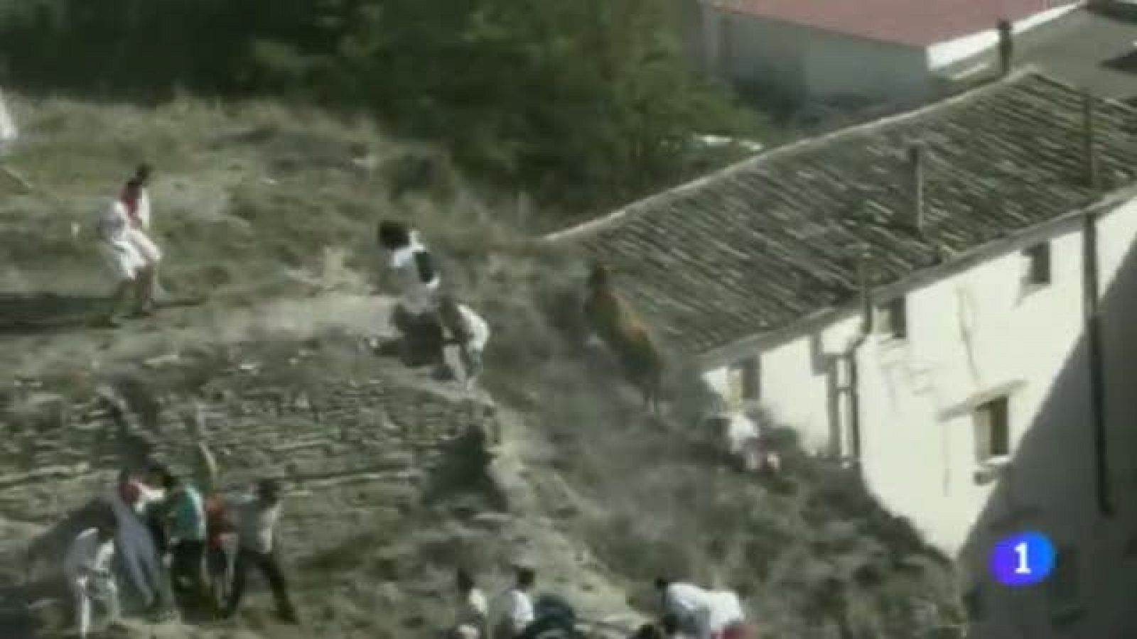 Telenavarra 2 - 05/08/2014 | Ver