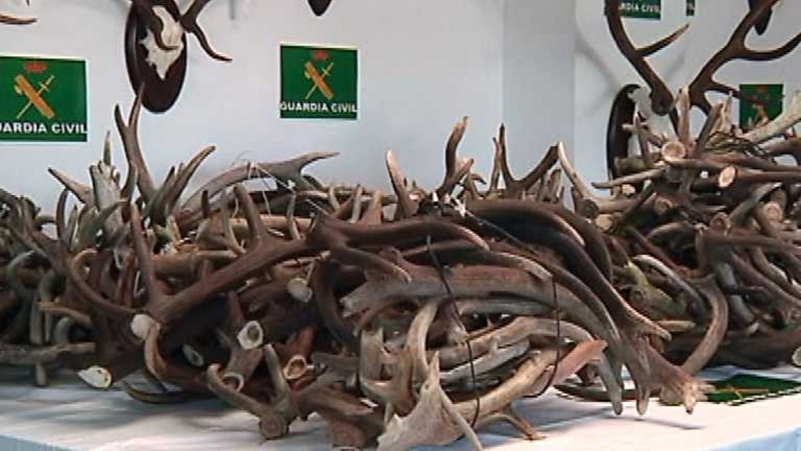 España en 24 horas - 05/08/14 - Ver ahora