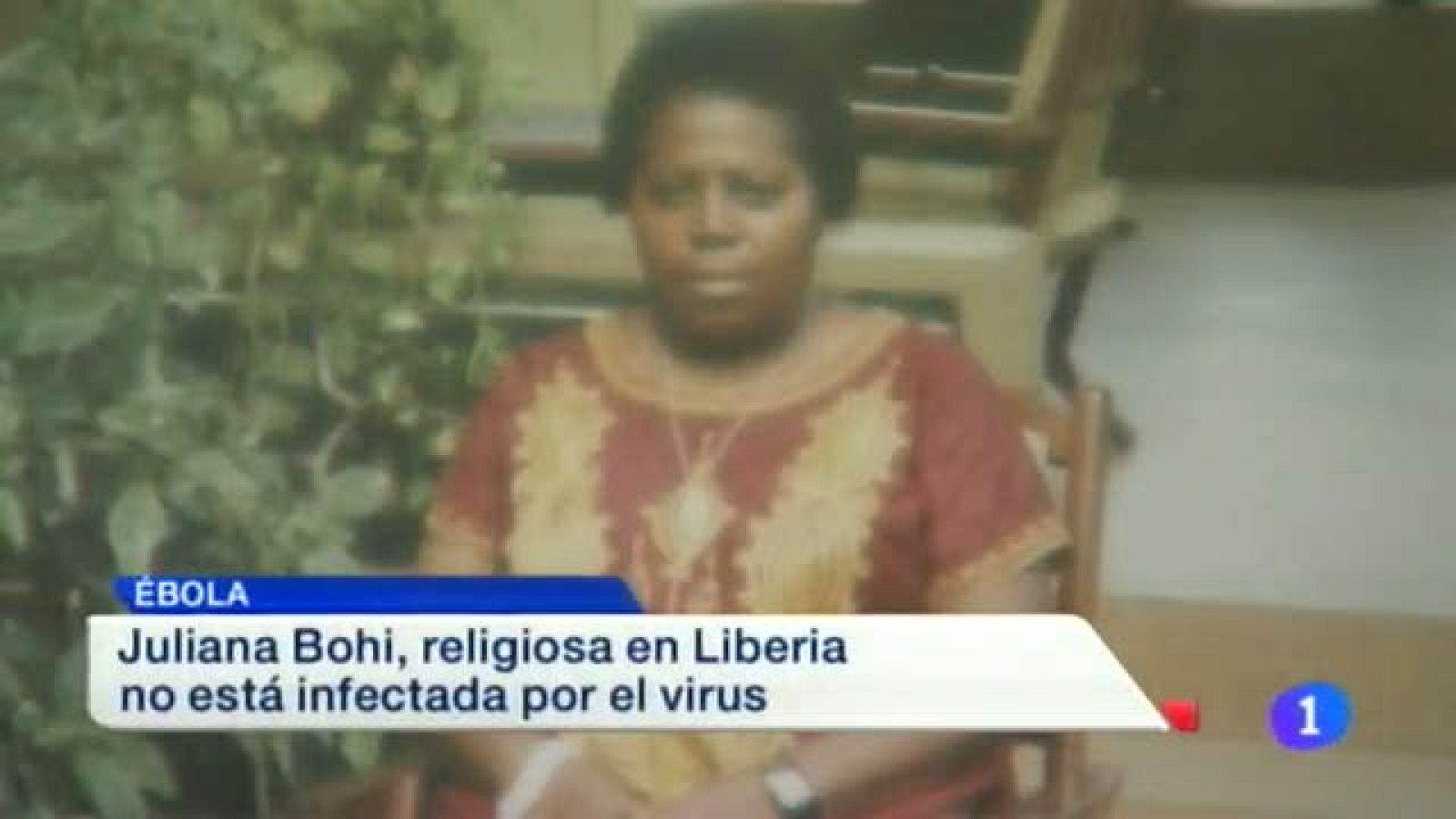 Telenavarra 2 - 06/08/2014 | Ver