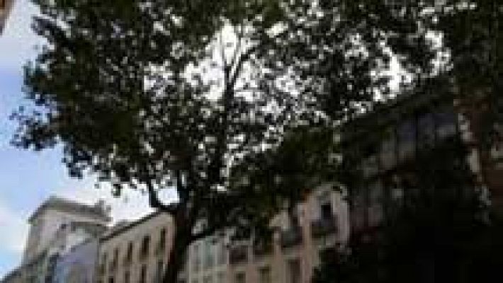 Informativo de Madrid - Informativo de Madrid 2 - 07/08/14