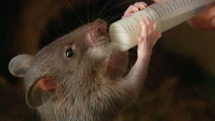 España en 24h - España en 24 horas - 07/08/14