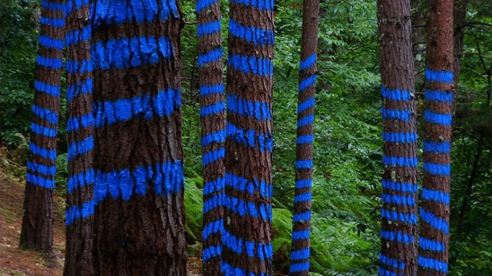 Aquí la Tierra - Un peculiar museo al aire libre abierto 24 horas al día