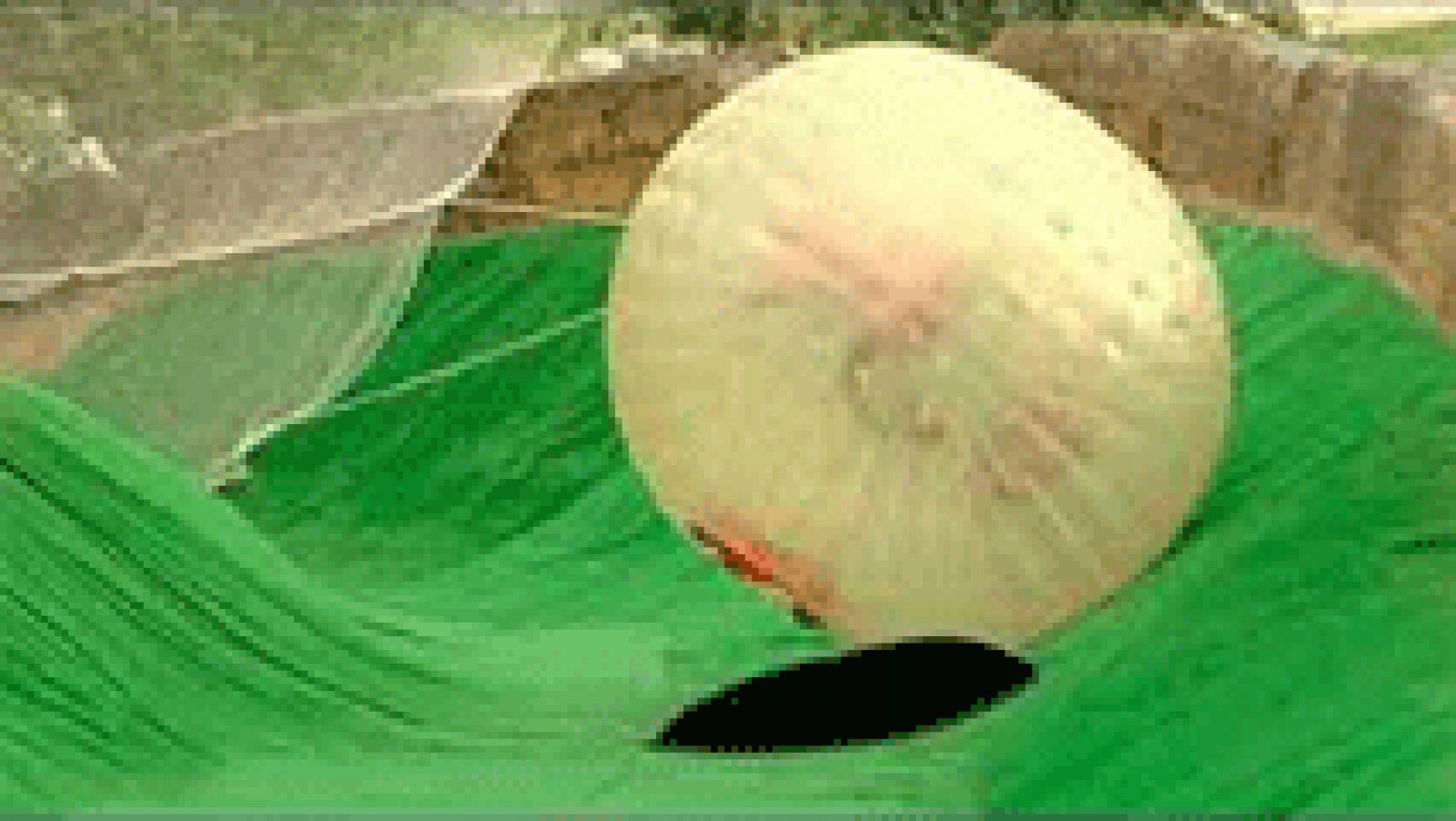 Un parque de atracciones integrado en plena naturaleza