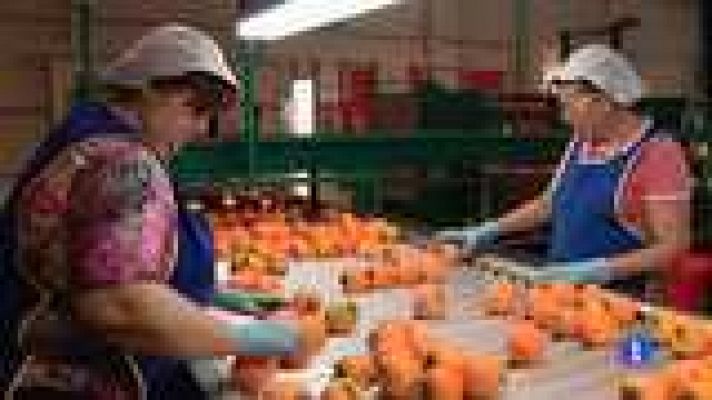 L'informatiu - Comunitat Valenciana - L'Informatiu - Comunitat Valenciana - 08/08/14