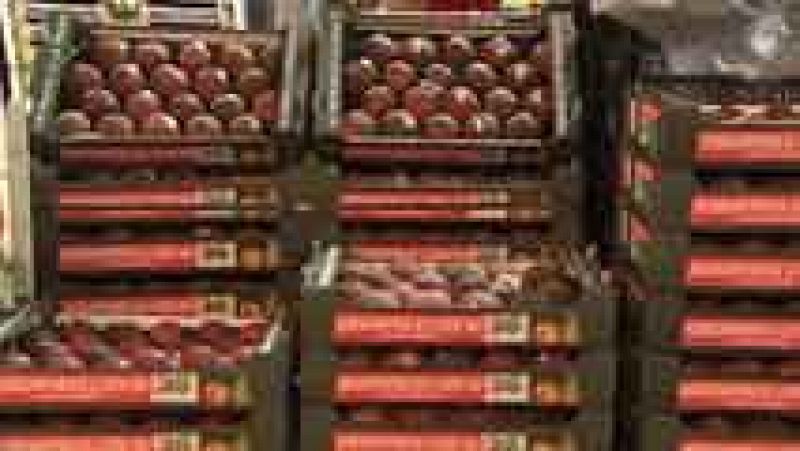Preocupación entre exportadores españoles de frutas y hortalizas por el veto ruso a alimentos frescos europeos 