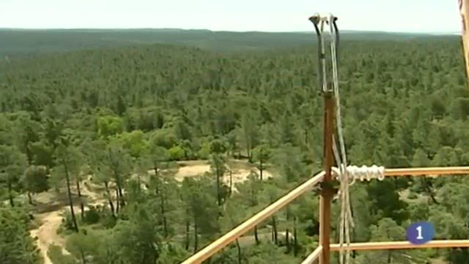 Noticias de Castilla-La Mancha - 08/08/14 