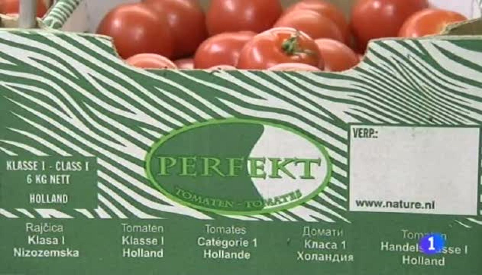 Noticias Aragón 2 - 08/08/14 | Ver