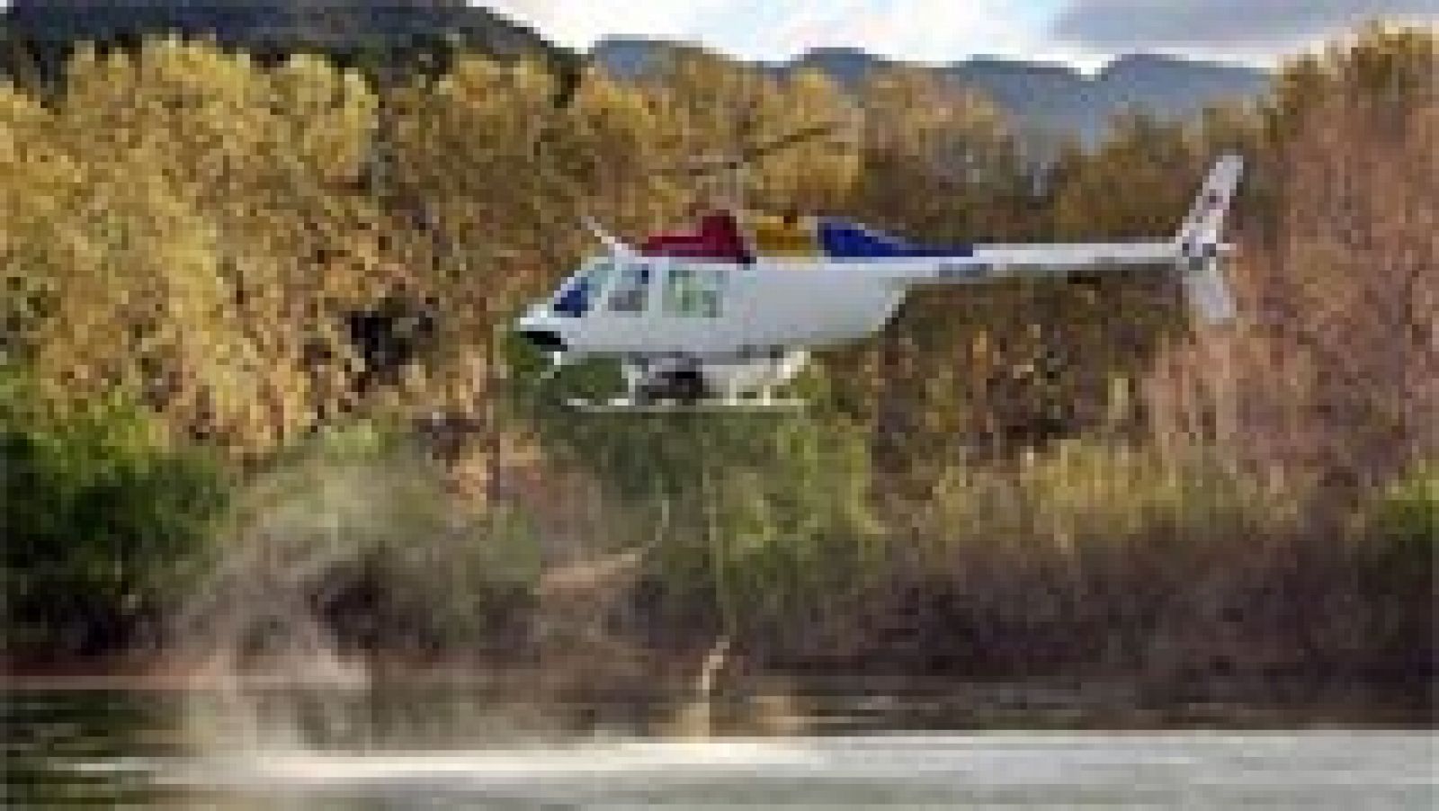 Telediario 1: Cazando moscas con helicóptero | RTVE Play