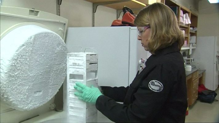 Telediario 1 - Llega a Madrid el medicamento experimental contra el ébola