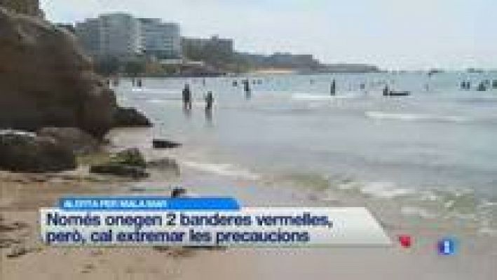 L'Informatiu - L'Informatiu Cap de Setmana - 10/08/2014