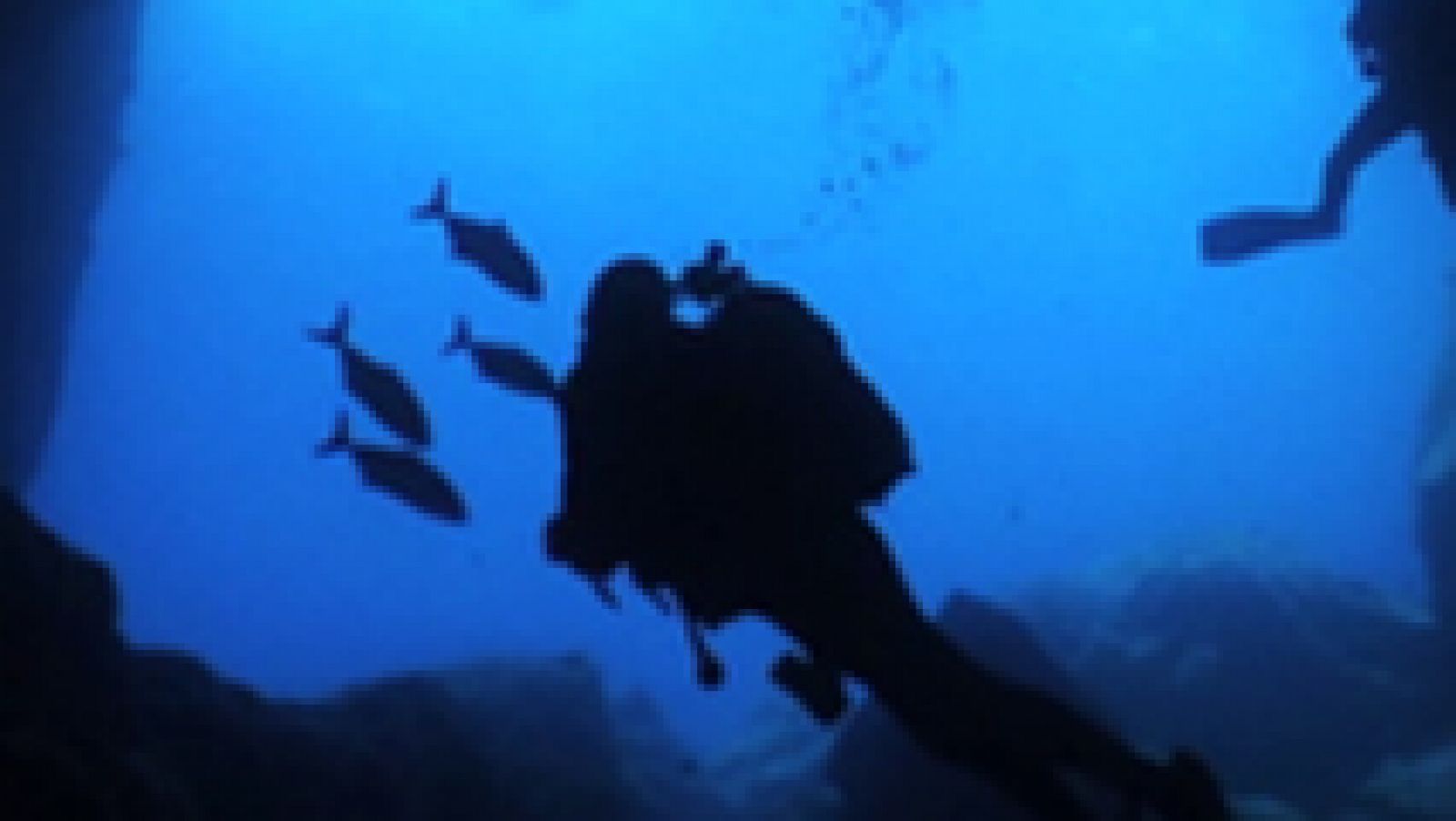 Sin programa: Paraísos submarinos: Papúa Nueva Guinea y La Graciosa  | RTVE Play