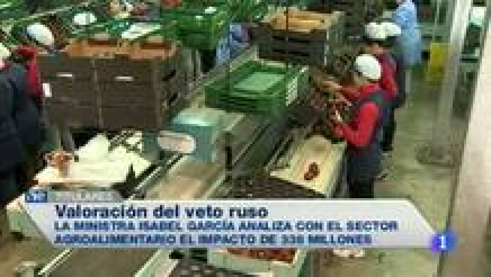 Noticias de Extremadura: Noticias de Extremadura - 11/08/2014 | RTVE Play