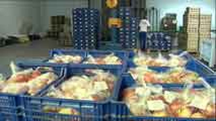 Telediario 1 - El sector agrario expone su preocupación al Gobierno